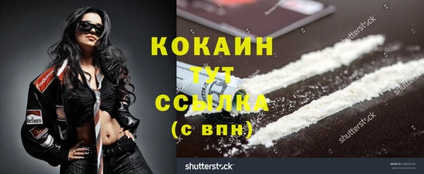 гашик Аркадак