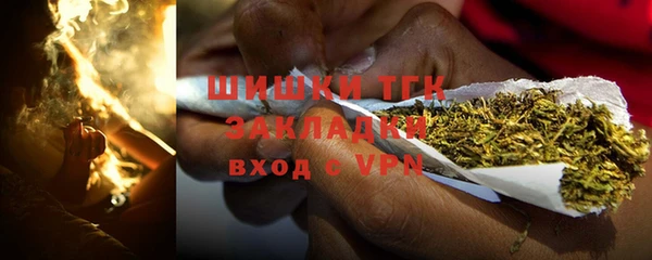 гашик Аркадак