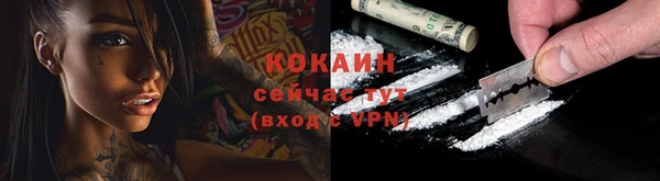 гашик Аркадак