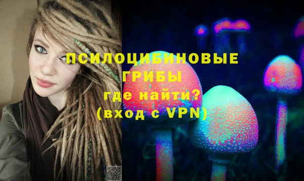 дурь Армянск