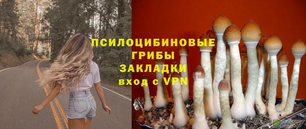 гашик Аркадак